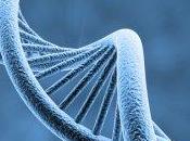 Epigenetica, cancro ambiente: qualcosa dovresti sapere nessuno dice