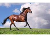 farvi divertire :):):)