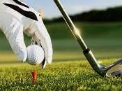 Beraldi Santis vincono Golf