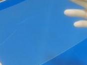 Gorilla telescopi raggi