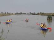 luglio agosto l’ottava edizione Festival Naturae Lido Classe