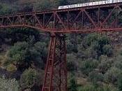 battaglia solo ponte… appena iniziata