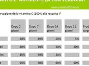 paradosso della verdura fresca bambini