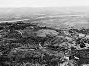 Bargagli-Petrucci, d’Orcia Senese