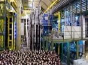 LHCb piace Modello Standard