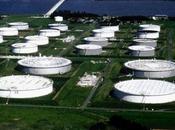 28/07/2015 Barile calo, Ocsit crescita