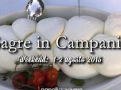 Sagre perdere Campania: weekend agosto 2015