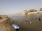 Centinaia civili rimasti uccisi bombardamenti della coalizione internazionale contro l'Isis