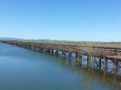 Trasimeno, Oasi Valle: tuffarsi verde immergersi