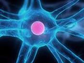 L’Università Ottawa Rift curare Parkinson