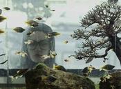 Locarno Festival 2015. Recensione: l’iraniano PARADISE sotto delle aspettative