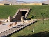 Semi giusquiamo cure ottomane