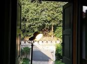 7.36am Lunedì niente ufficio