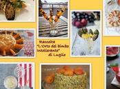 Vincitore Luglio “L’Orto bimbo intollerante”