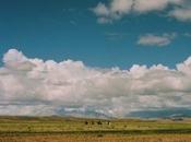 Locarno Festival 2015. film visto mercoledì agosto