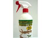 geco Alfonso come migranti Alfano: rifiuta farsi rimpatriare. Dubbi etici intenti criminali. Episode