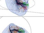 nostro indirizzo nell’universo: Laniakea