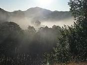 Colgo l’occasione