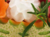 Utili novità Tescoma