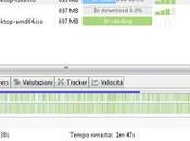 Come scaricare file Torrent come usarli