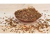 Erbe tintura, infuso, olio essenziale, Cumino