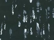 SIGHTINGS, Amusers Puzzlers