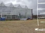 Smog Free Tower: aria pulita gioielli tutti!