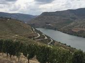 Portogallo buon vino: paesaggi sapori nella Valle Douro