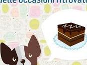 brutta cattiva Viviana Giorgi