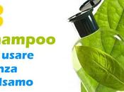 Shampoo BIO, usare senza balsamo!