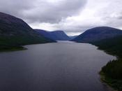 Un’eruzione vulcanica dietro grande estinzione