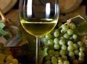 Sardegna paesi possiede colture vinicole antiche Italia.