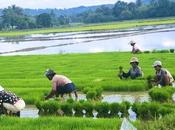 paesi producono fosfati mondo