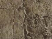 Luxor: scoperta tomba alto funzionario egizio