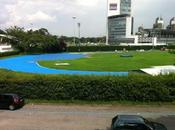 MILANO. Parte oggi nuova gestione dello storico Campo aprile Milano