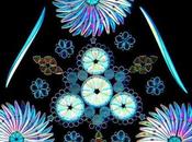 ARTE: pattern delle alghe Klaus Kemp