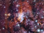 stelle dedicano riciclo