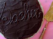 Ricetta della torta Sacher ansia prestazione