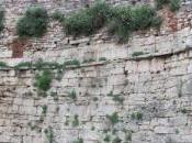 Protocollo intesa rimozione della vegetazione infestante dalle mura Perugia