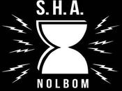 SYSTEM HARDWARE ABNORMAL, Nolbom