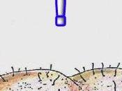 “Insulti” online rotture palle: risposta pezzo Professor Gigi Montonato Brogliaccio Salentino relativi commenti calce.