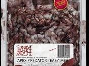 NAPALM DEATH Nuovo video "How Years Condemn"