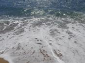 Liberia liber(i)a! Perché dimentichi.