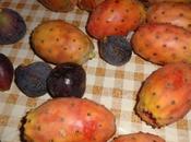 Grillo investe Maio. solo videogame sonetto Jena Camuna