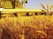 MILANO. Dalla campagna EXPO migliaia uomini donne giornata dell’agricoltura italiana Coldiretti.