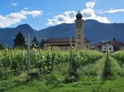 Sapori dell’Alto Adige: eccellenze della d’Ultimo