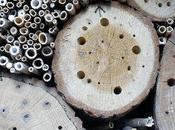 Bugs hotel