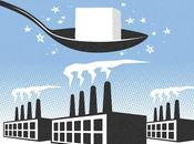 Oggi MilanoFF cinema incontra food seguire aperitivo assaggi)