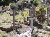 strazianti condizioni Cimitero Prima Porta. Defunti umiliati maniera atroce, parenti idem. scuse