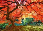 Apprezza bellezze pianeta, consiglio settimana migliorare propria vita quella altrui